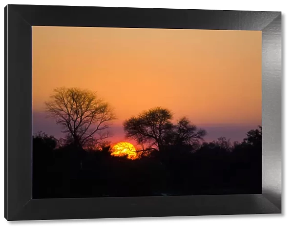 caprivi strip, clear sky, color image, colour image, horizontal, landscape, morning