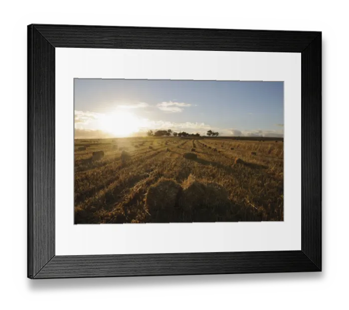 Framed Print : cloud, color image, colour image, corn, dusk, field, hay, horizontal, landscape, malmsbury Framed Print : cloud, color image, colour image, corn, dusk, field, hay, horizontal, landscape, malmsbury