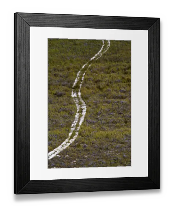 Framed Print : aerial view, color image, day, desert, dirt track, grass, journey, lake sibaya, landscape