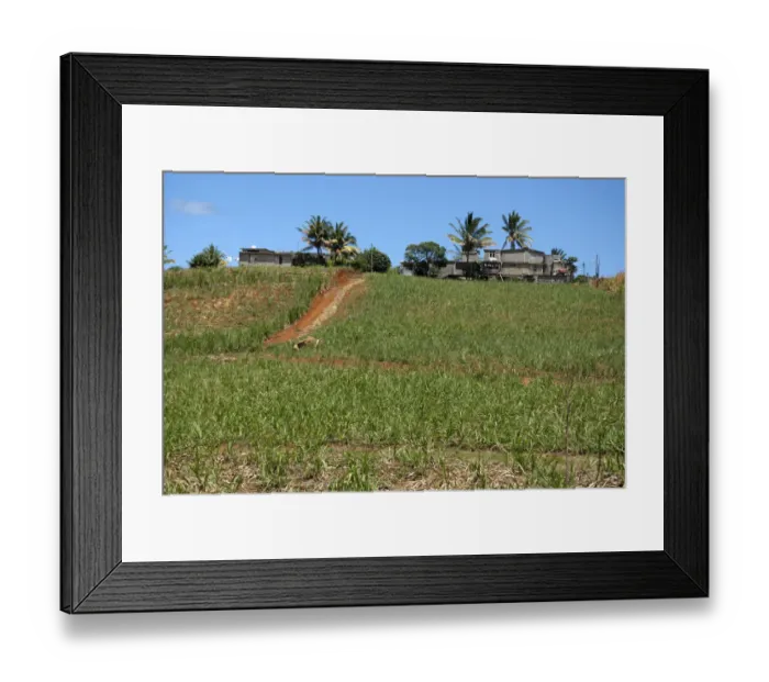 Framed Print : agriculture, color image, colour image, countryside, day, daytime, field, landscape