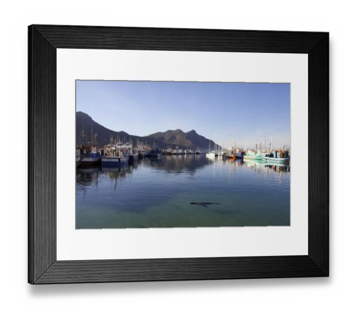 Framed Print : animal, boat, clear sky, color image, colour image, day, daytime, harbor, horizontal Framed Print : animal, boat, clear sky, color image, colour image, day, daytime, harbor, horizontal