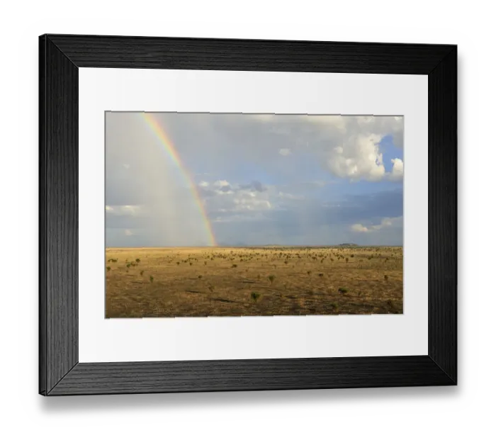 Framed Print : beauty in nature, boma national park, color image, day, horizon over land, horizontal Framed Print : beauty in nature, boma national park, color image, day, horizon over land, horizontal