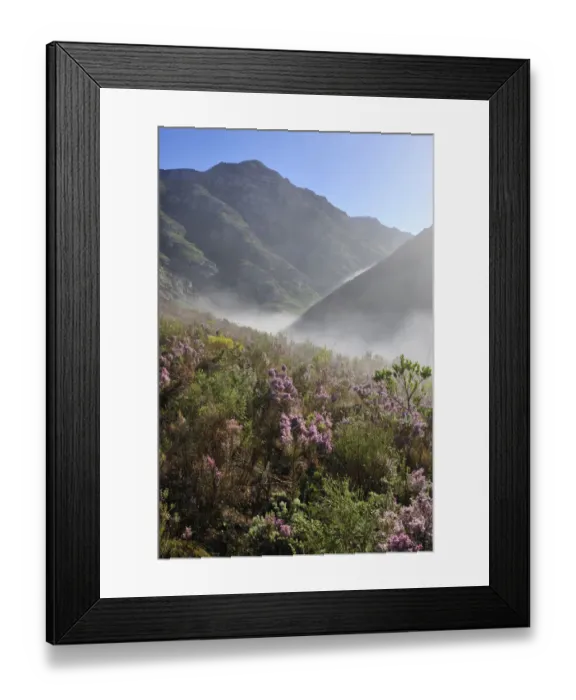Framed Print : beauty in nature, cape floral kingdom, color image, day, fog, idyllic, landscape
