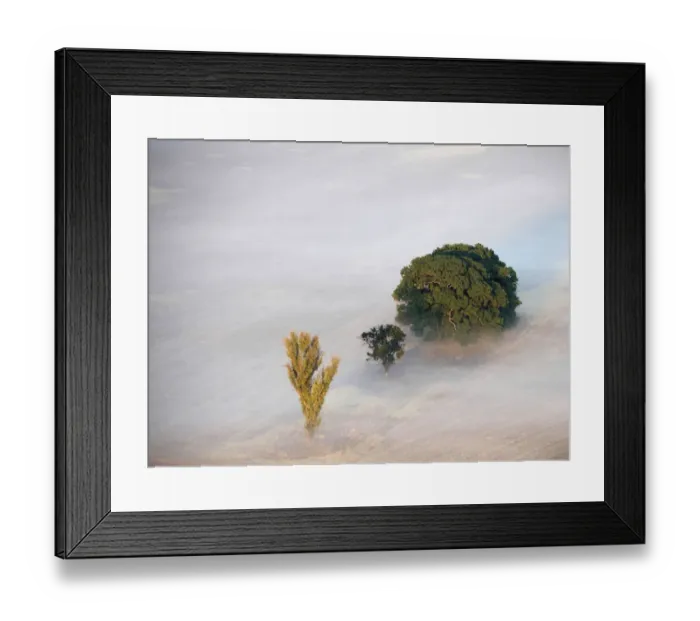 Framed Print : color image, photography, fog, landscape, tree, field, tranquility, scenics, beauty in nature Framed Print : color image, photography, fog, landscape, tree, field, tranquility, scenics, beauty in nature