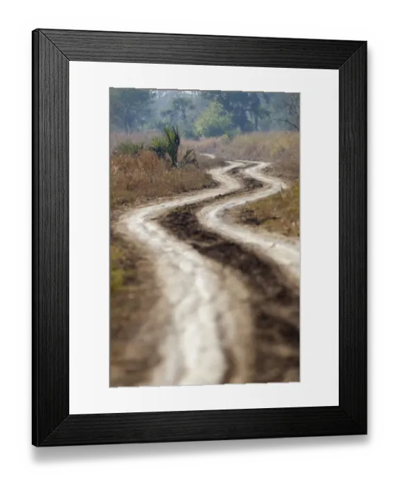 Framed Print : color image, day, dirt, dirt road, gorongosa national park, landscape, manica province Framed Print : color image, day, dirt, dirt road, gorongosa national park, landscape, manica province