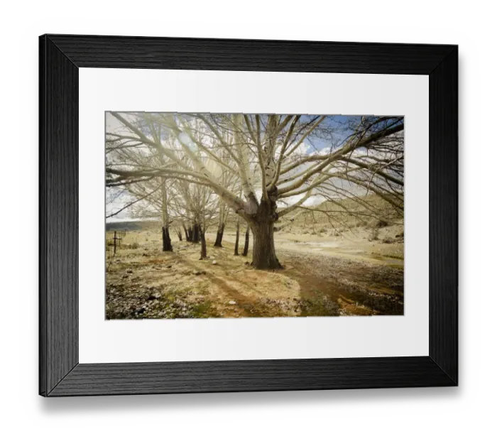 Framed Print : africa, african, agriculture, arid climate, arid land, backlit, barbed wire fence Framed Print : africa, african, agriculture, arid climate, arid land, backlit, barbed wire fence