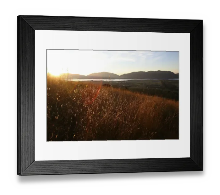 Framed Print : beauty in nature, color image, dirt road, grass, horizontal, johannesburg, lake, landscape Framed Print : beauty in nature, color image, dirt road, grass, horizontal, johannesburg, lake, landscape