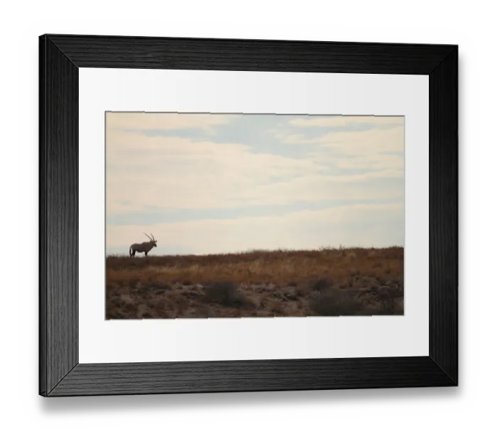 Framed Print : animal in the wild, antelope, arid, clouds, colour image, day, distant, full length Framed Print : animal in the wild, antelope, arid, clouds, colour image, day, distant, full length