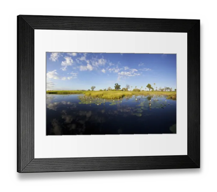 Framed Print : africa, aquatic plant, beauty in nature, blue sky, botswana, cloud, color image, colour image Framed Print : africa, aquatic plant, beauty in nature, blue sky, botswana, cloud, color image, colour image