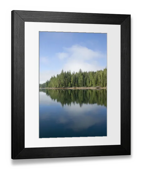 Framed Print : Outside of Ketchikan in Southeastern Alaska, Ketchikan, Alaska, USA Framed Print : Outside of Ketchikan in Southeastern Alaska, Ketchikan, Alaska, USA