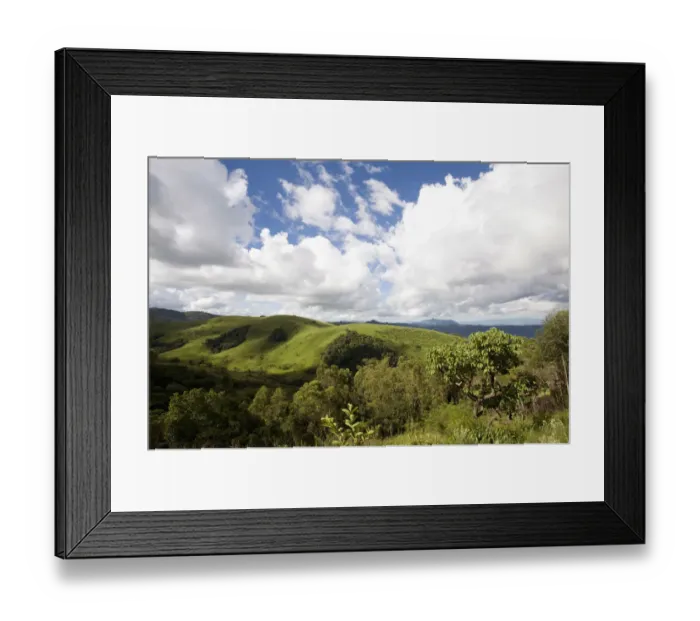 Framed Print : color image, photography, no people, horizontal, outdoors, day, elevated view, growth