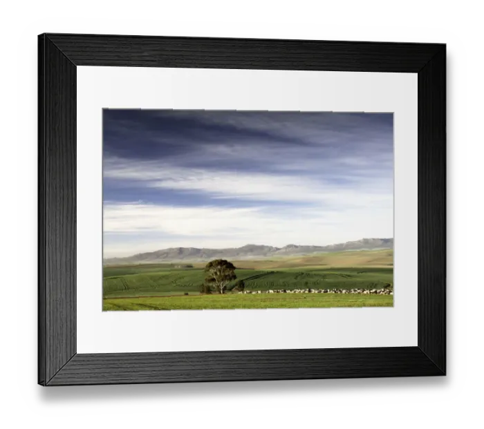 Framed Print : color image, photography, no people, horizontal, outdoors, day, copy space, agriculture Framed Print : color image, photography, no people, horizontal, outdoors, day, copy space, agriculture