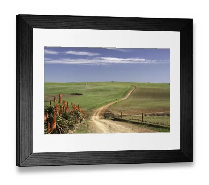 Framed Print : color image, photography, no people, horizontal, outdoors, day, copy space, agriculture