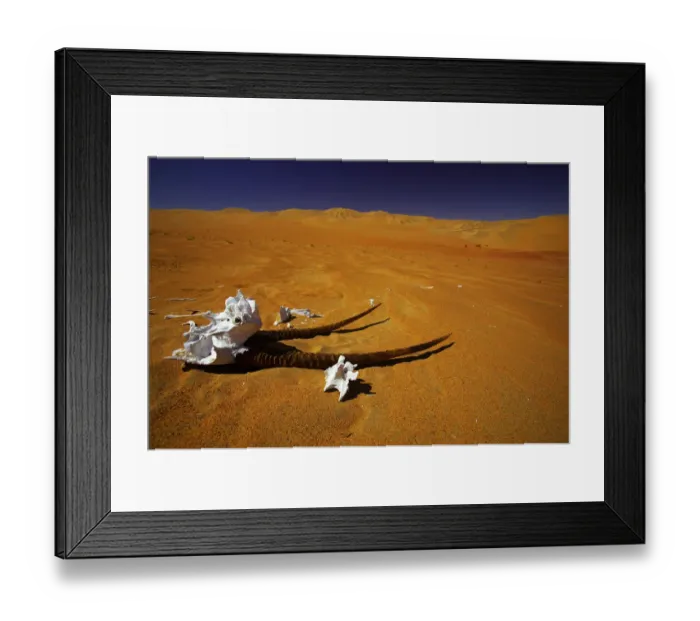 Framed Print : day, desert, desolation, dunes, horizontal, landscape, namibia, nature, no people Framed Print : day, desert, desolation, dunes, horizontal, landscape, namibia, nature, no people