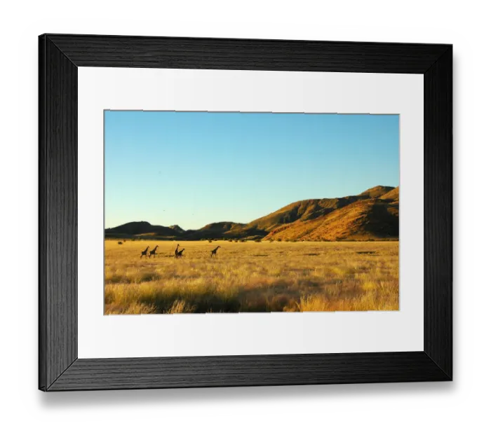 Framed Print : beauty in nature, day, giraffa camelopardalis, giraffe, horizontal, kaokoland, landscape