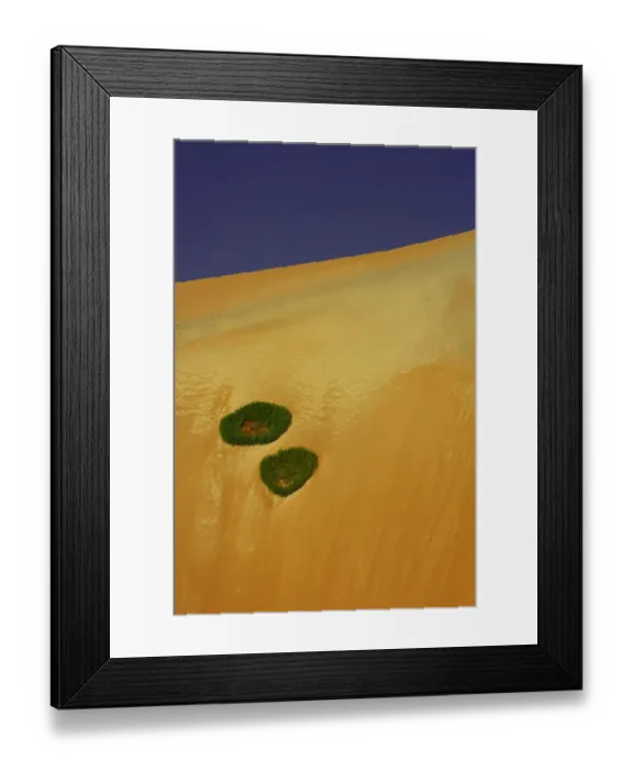 Framed Print : arid, beauty in nature, day, desert, dunes, green, landscape, namibia, nature, no people Framed Print : arid, beauty in nature, day, desert, dunes, green, landscape, namibia, nature, no people