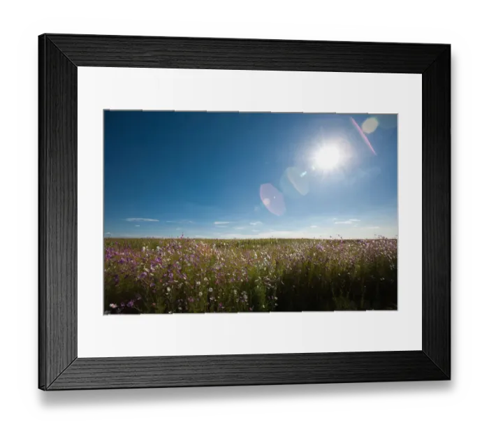 Framed Print : beauty in nature, cosmos, day, field, horizon over land, horizontal, idyllic, kwazulu-natal Framed Print : beauty in nature, cosmos, day, field, horizon over land, horizontal, idyllic, kwazulu-natal