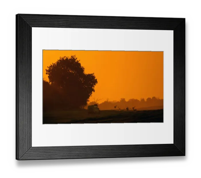 Framed Print : botswana, chobe, driving, dust, horizontal, landscape, no people, off-road vehicle
