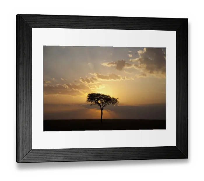 Framed Print : africa, backlit, beauty in nature, cloud, dusk, grass area, horizon, horizon over land