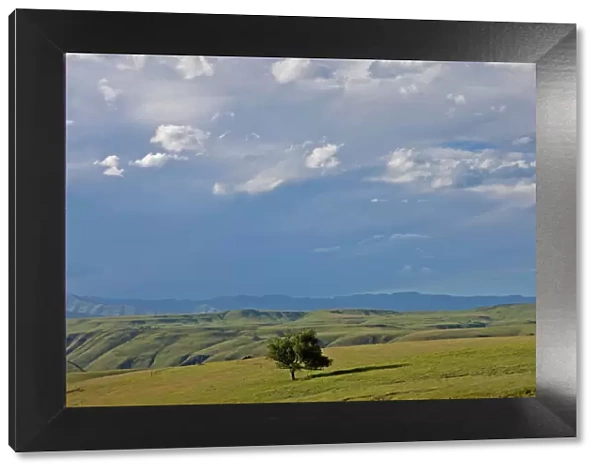beauty in nature, cloud, day, drakensberg mountain range, eastern cape province, foothill