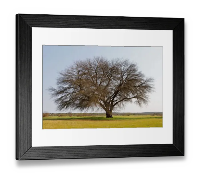 Framed Print : beauty in nature, clear sky, day, field, freshness, green, growth, horizon over land