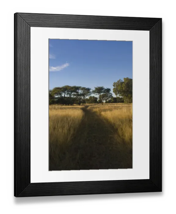 Framed Print : beauty in nature, bush, day, diminishing perspective, grass area, idyllic, landscape Framed Print : beauty in nature, bush, day, diminishing perspective, grass area, idyllic, landscape