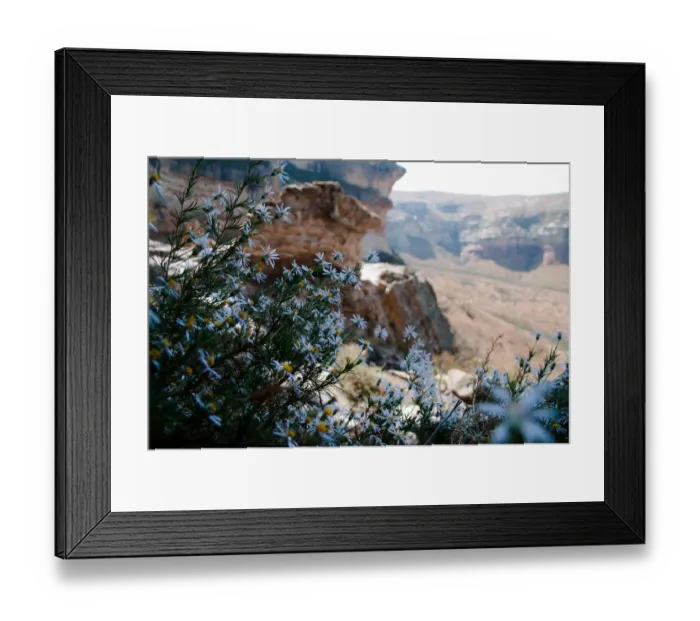 Framed Print : beauty in nature, botany, day, free state province, freshness, geology, golden gate