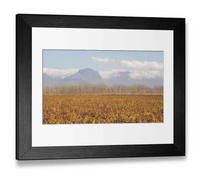 Framed Print : autumn, beauty in nature, day, distant, gold, horizontal, idyllic, landscape, mountain range Framed Print : autumn, beauty in nature, day, distant, gold, horizontal, idyllic, landscape, mountain range