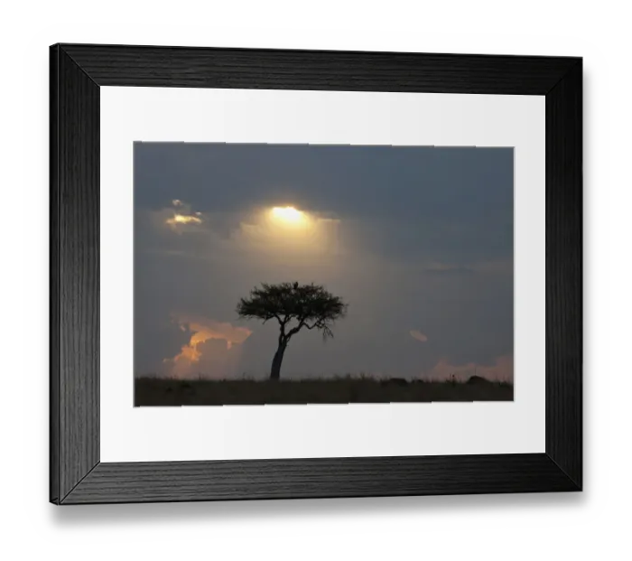 Framed Print : africa, backlit, beauty in nature, cloud, dusk, grass area, grey, horizon, horizon over land