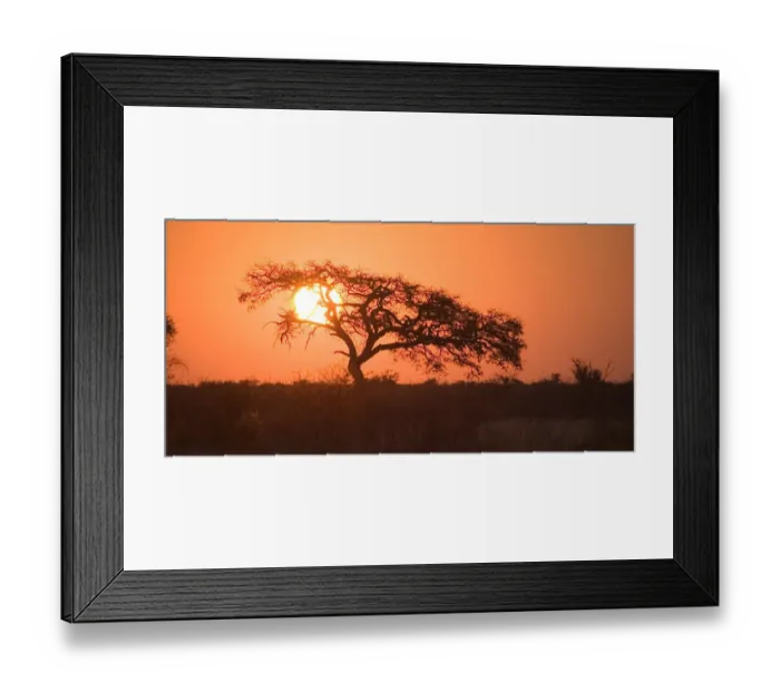 Framed Print : backlit, beauty in nature, botswana, clear sky, dusk, glowing, grass, horizon, horizon over land Framed Print : backlit, beauty in nature, botswana, clear sky, dusk, glowing, grass, horizon, horizon over land