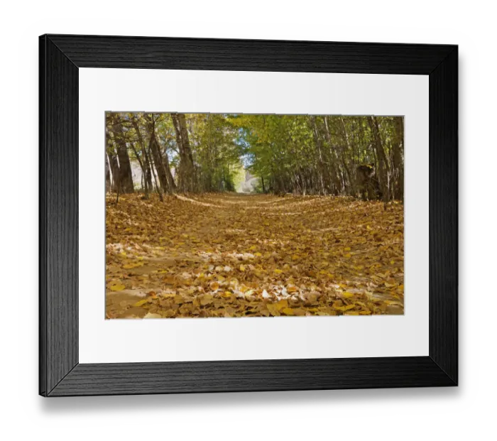 Framed Print : abundance, autumn, beauty in nature, day, deciduous, eastern cape province, horizontal