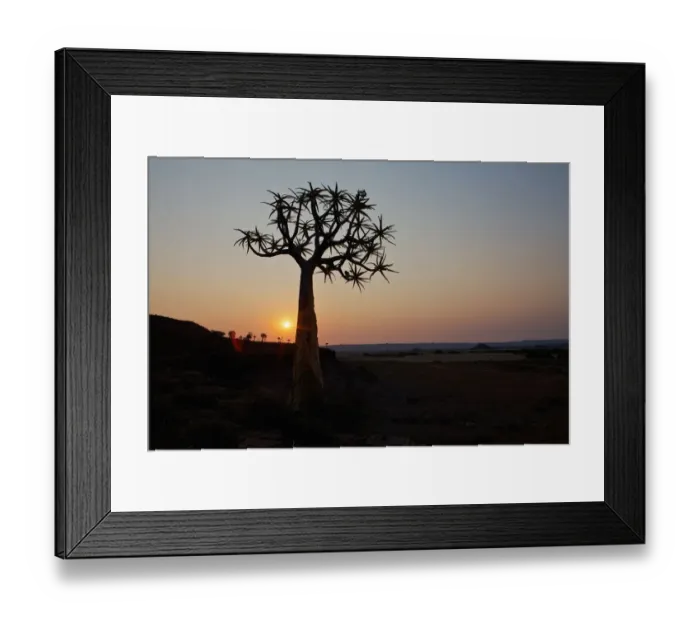 Framed Print : baobab, beauty in nature, horizon over land, horizontal, idyllic, landscape, moody sky Framed Print : baobab, beauty in nature, horizon over land, horizontal, idyllic, landscape, moody sky