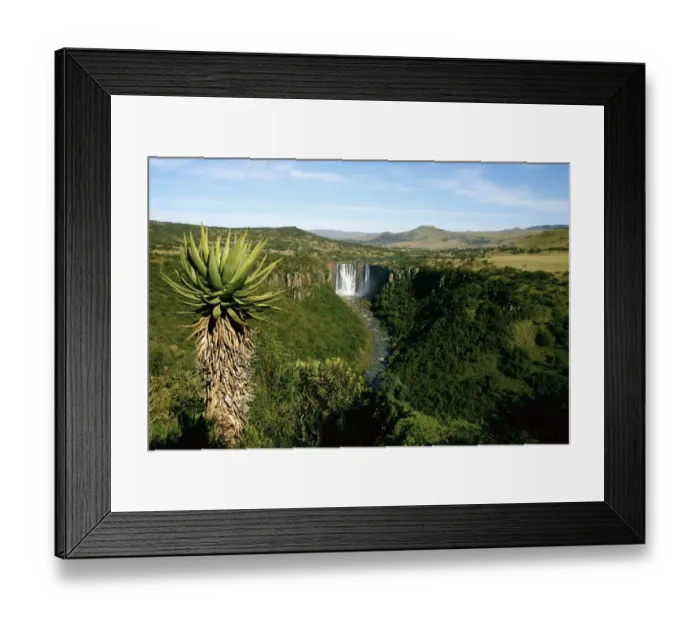 Framed Print : africa, aloe, attraction, calmness, cliff, color image, copy space, digital, distant view Framed Print : africa, aloe, attraction, calmness, cliff, color image, copy space, digital, distant view