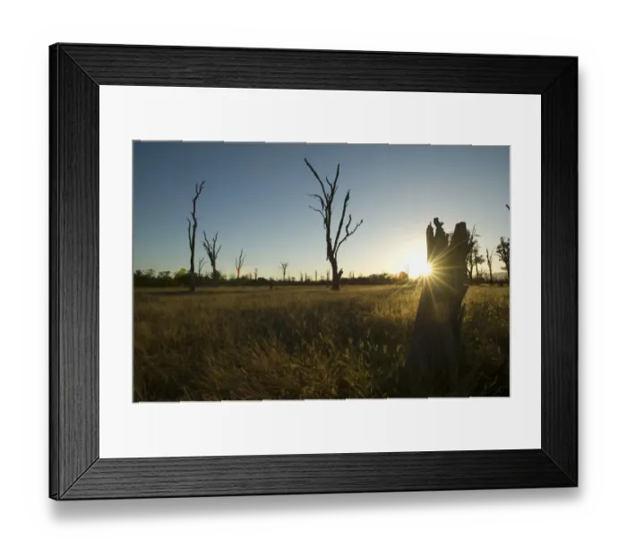 Framed Print : beauty in nature, clear sky, grass area, horizontal, idyllic, landscape, mana pools national park