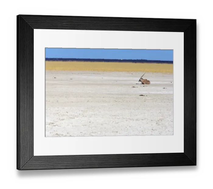 Framed Print : animal themes, animals in the wild, antelope, arid, day, desert, dry, full length Framed Print : animal themes, animals in the wild, antelope, arid, day, desert, dry, full length