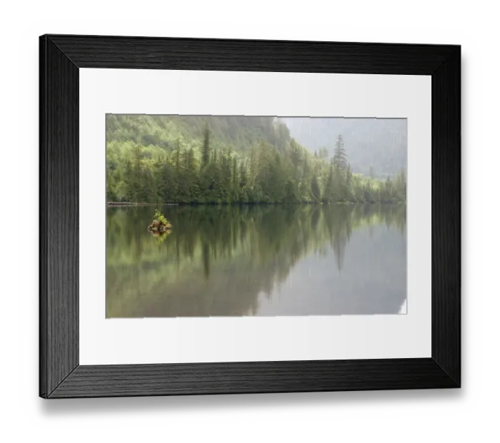 Framed Print : alaska, color image, day, forest, horizontal, lake, landscape, lush foliage, no people Framed Print : alaska, color image, day, forest, horizontal, lake, landscape, lush foliage, no people
