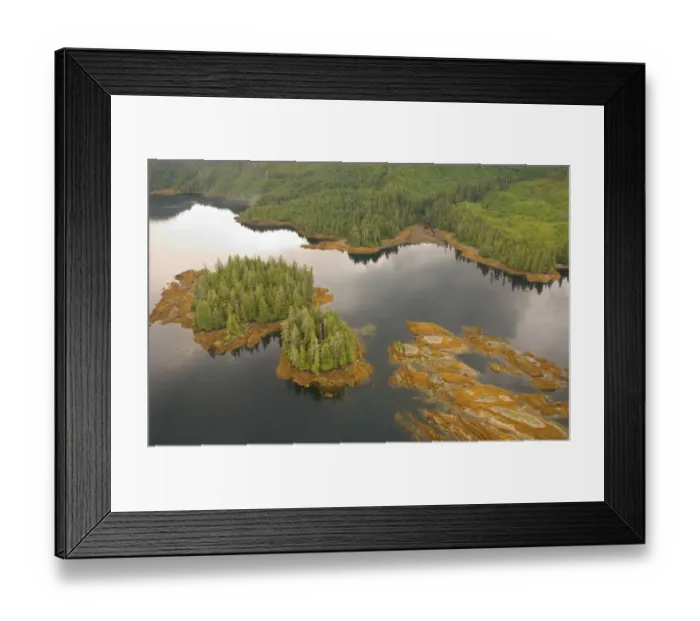 Framed Print : aerial view, alaska, coastline, color image, day, forest, horizontal, island, lake Framed Print : aerial view, alaska, coastline, color image, day, forest, horizontal, island, lake