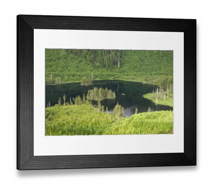 Framed Print : aerial view, alaska, coastline, color image, day, forest, green, horizontal, lake Framed Print : aerial view, alaska, coastline, color image, day, forest, green, horizontal, lake