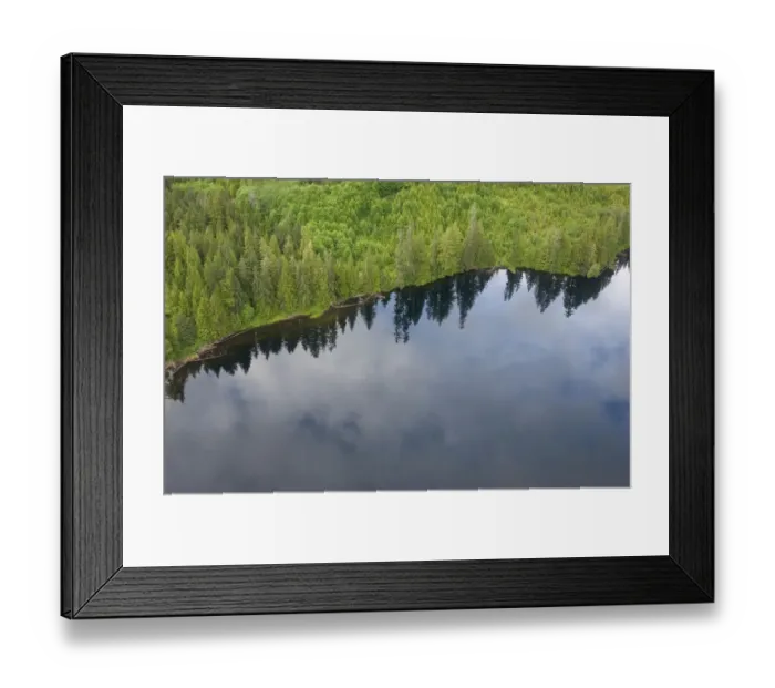 Framed Print : aerial view, alaska, cloud, coastline, color image, day, forest, green, horizontal