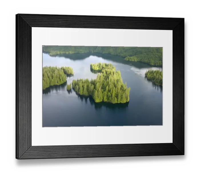 Framed Print : aerial view, alaska, cloud, coastline, color image, day, forest, green, horizontal Framed Print : aerial view, alaska, cloud, coastline, color image, day, forest, green, horizontal