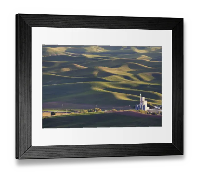 Framed Print : agriculture, beauty in nature, color image, day, field, green, high angle view, horizontal Framed Print : agriculture, beauty in nature, color image, day, field, green, high angle view, horizontal
