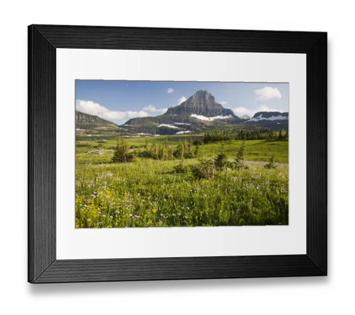 Framed Print : beauty in nature, cloud, color image, day, flower, green, horizon over land, horizontal