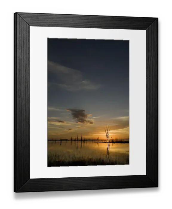 Framed Print : bare tree, beauty in nature, copy space, lake kariba, landscape, matusadona national park Framed Print : bare tree, beauty in nature, copy space, lake kariba, landscape, matusadona national park