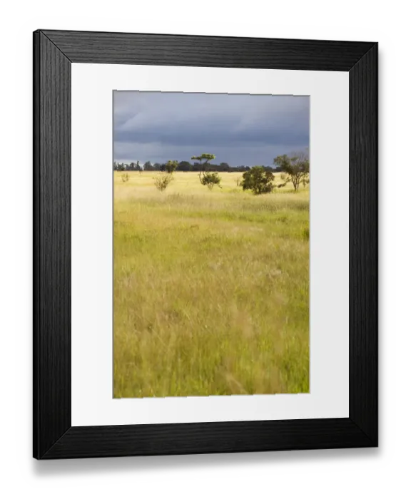 Framed Print : beauty in nature, day, grass area, horizon over land, idyllic, lake chivero national park Framed Print : beauty in nature, day, grass area, horizon over land, idyllic, lake chivero national park