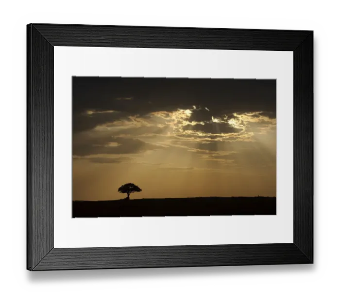 Framed Print : animals in the wild, beauty in nature, close-up, cloudscape, horizon over land, horizontal Framed Print : animals in the wild, beauty in nature, close-up, cloudscape, horizon over land, horizontal