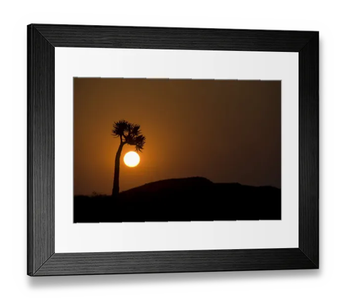 Framed Print : aloe dichotoma, beauty in nature, copy space, hill, horizon over land, horizontal Framed Print : aloe dichotoma, beauty in nature, copy space, hill, horizon over land, horizontal