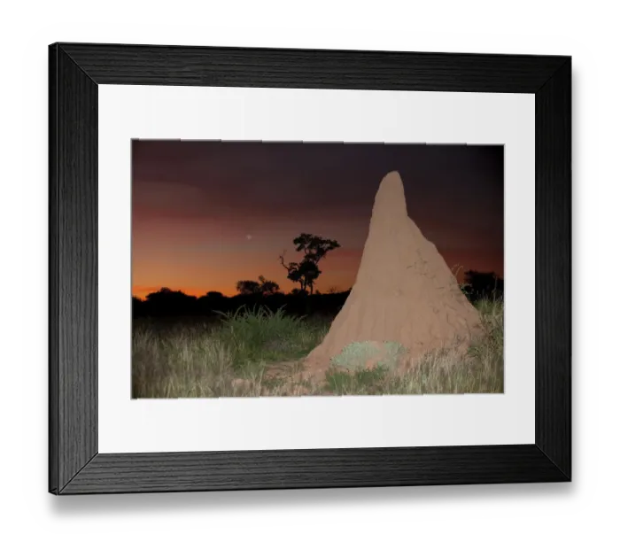 Framed Print : animal themes, beauty in nature, dusk, flash, horizon over land, horizontal, landscape Framed Print : animal themes, beauty in nature, dusk, flash, horizon over land, horizontal, landscape