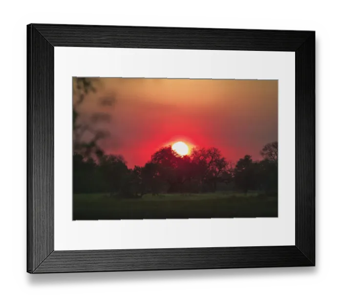 Framed Print : horizontal, landscape, no people, okavango delta, safari, sunrise, surface level Framed Print : horizontal, landscape, no people, okavango delta, safari, sunrise, surface level
