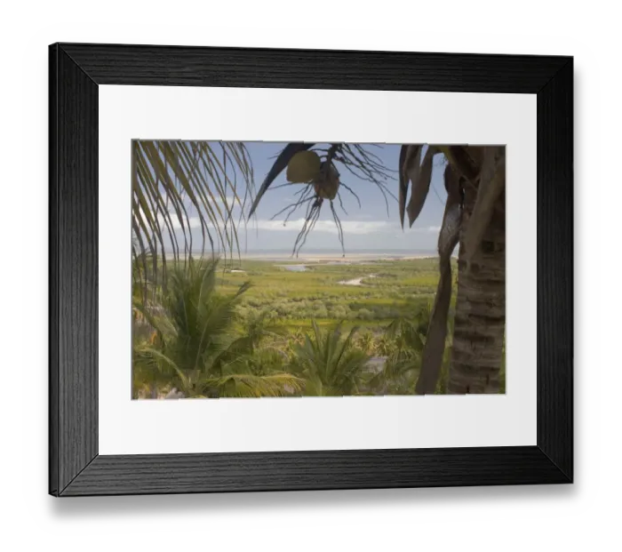 Framed Print : animals in the wild, barra, beauty in nature, day, elevated view, growth, horizon over land