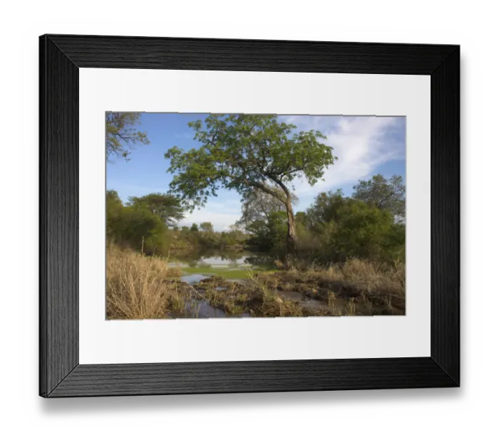 Framed Print : afternoon, attraction, blue sky, branch, calmness, cloud, color, copy space, desolate Framed Print : afternoon, attraction, blue sky, branch, calmness, cloud, color, copy space, desolate